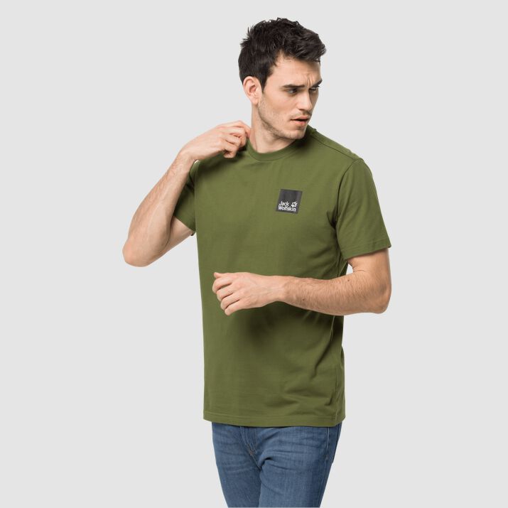 Jack Wolfskin Mens Rainbow Paw T-shirt Green 018576NZW